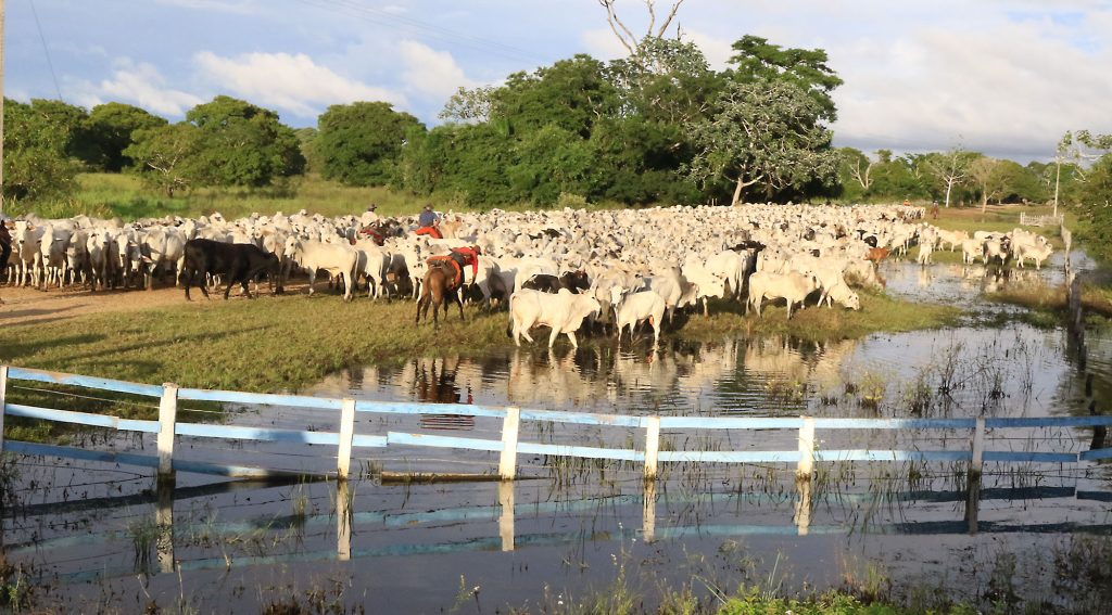 Estado deve superar 72 milhões de toneladas de produção agrícola