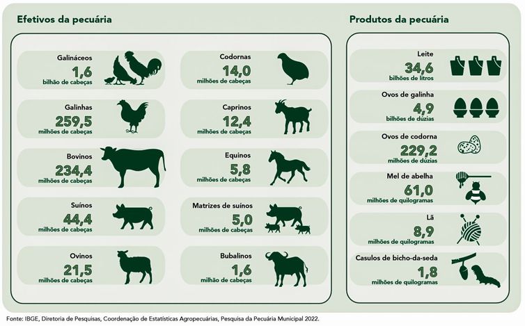 Pecuária brasileira colecionou recordes em 2022, aponta IBGE