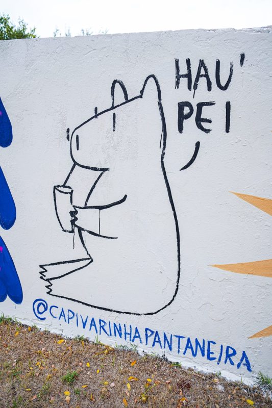 Concurso de Grafite valoriza expressão artística e dá novo colorido à Praça do Parque Alvorada