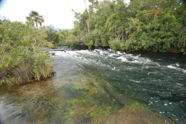 Ecoturismo: Costa Rica é destino para quem busca contato com a natureza