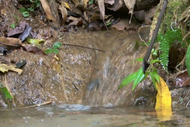 Comissão aprova financiamento federal para recuperação de nascentes de rios