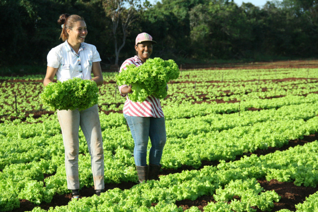 Com apoio da Prefeitura, quilombolas ganham autonomia financeira com hortaliças