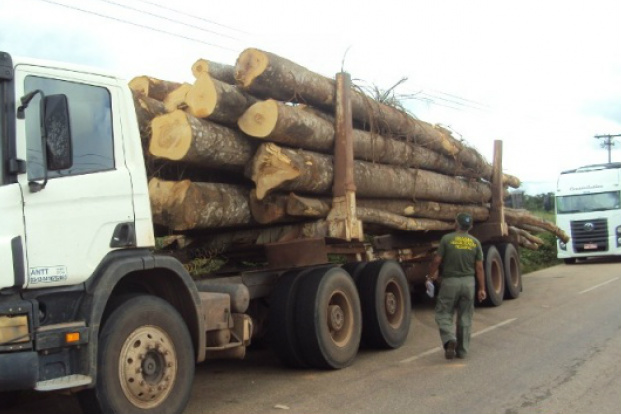 Autorização ambiental para produtos florestais vai exigir certificação