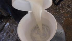 Produtores de leite brasileiros reclamam de queda no preço do produto no mercado interno. Arquivo/Agência Brasil
