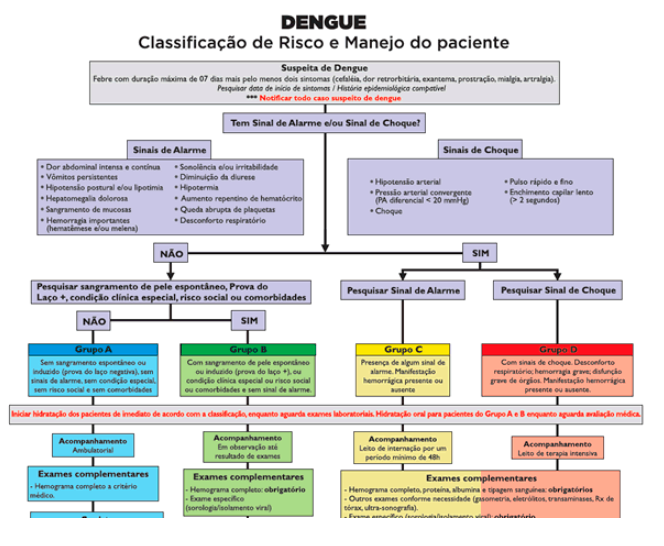 Saúde capacita médicos e enfermeiros para atender pacientes suspeitos de dengue
