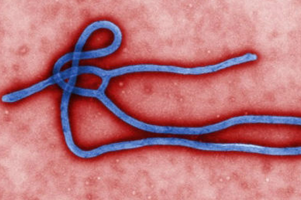 Secretaria apresenta Protocolo de Vigilância de casos suspeitos de Ebola
