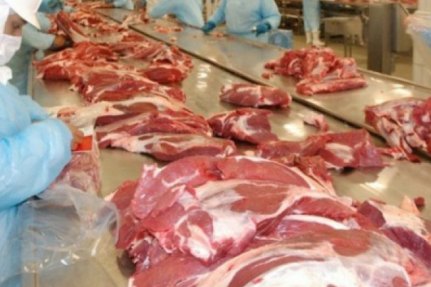 MS vende 60,4% da carne para Rússia e exportação cresce
