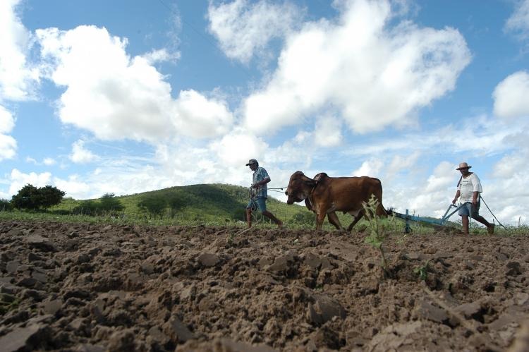 Foto: Ministério do Desenvolvimento Agrário/Reprodução CNM