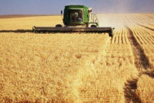 Déficit de armazéns de grãos chega a 53,7 mi de toneladas, diz Conab