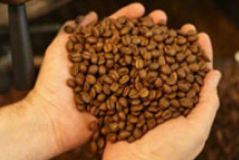 Estoque de café do Brasil em 2016 será o menor da história, prevê CNC