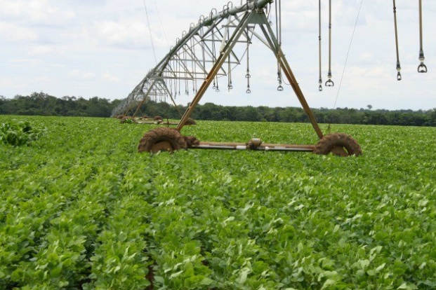 Mato Grosso do Sul é o sétimo do país em número de pivôs centrais de irrigação