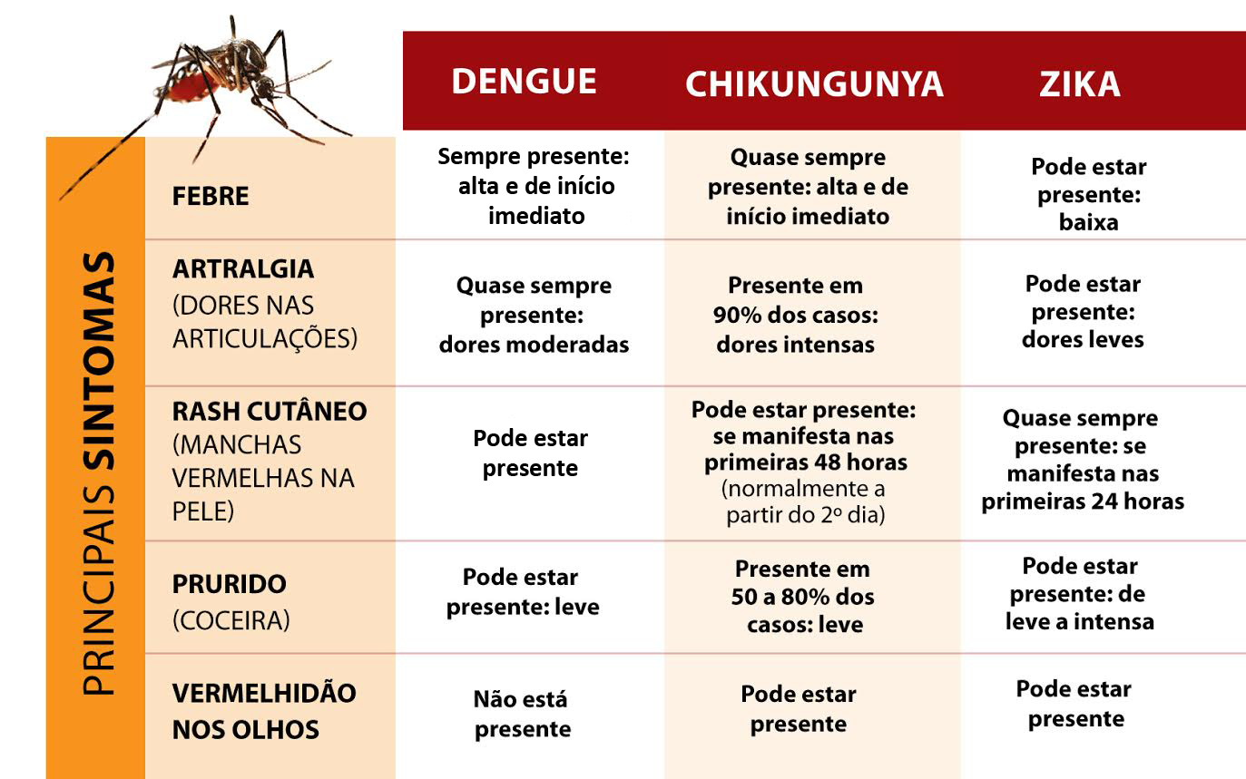 Campo Grande e cidades vizinhas comemoram queda nos casos de Dengue