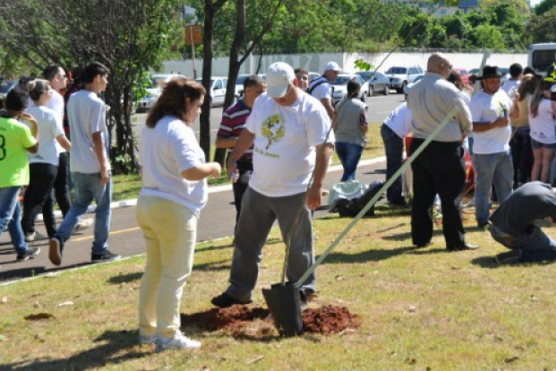 Em comemoração ao Dia da Árvore, 200 mudas são plantadas na Capital