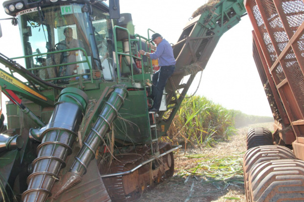 Angélica: governador participa da abertura da colheita de garante R$ 14 mi