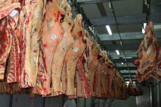 Brasil bate recorde em exportação de carne bovina no 1º trimestre