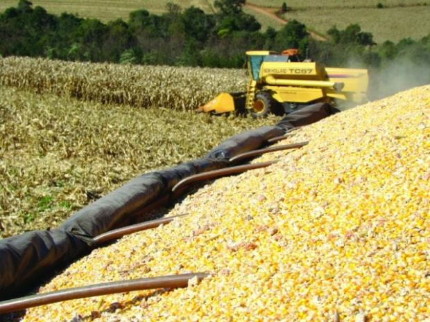 Estiagem compromete safra de milho e soja no Centro-Oeste