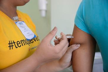 Número de casos de febre amarela cresce 57%; mortes aumentam 41%